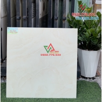 Gạch 60x60 màu kem lát nền nhà