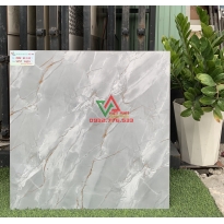 Gạch 60x60 màu sắc đẹp tinh sảo