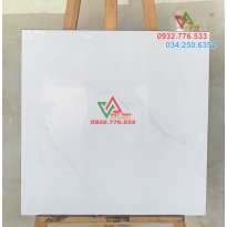 Gạch 60x60 màu trắng bóng kiếng
