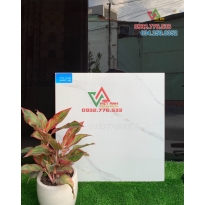 Gạch 60x60 màu trắng họa tiết đơn giản