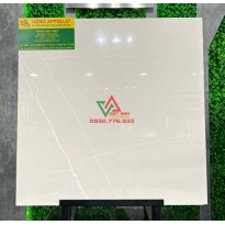 Gạch 60x60 màu trắng tinh tế thẩm mỹ cao