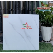 Gạch 60x60 màu trắng vân mây hàng sang trọng
