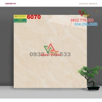 Gạch 60x60 ốp lát mặt tiền mã 6070