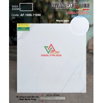 Gạch 80x80 đá mờ titan trắng vân mây hàng Apodio AF.1088.71090
