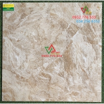 Gạch 80x80 hàng cao cấp màu sắc đa dạng