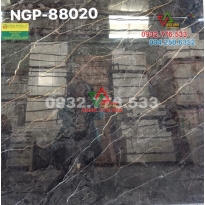 Gạch 80x80 hàng nhập khẩu sang chảnh mã NGP-88020