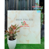 Gạch 80x80 hàng VIệt Nam ốp nền nhà