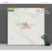 Gạch 80x80 màu sắc đẹp mã 8053