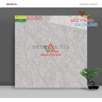 Gạch 80x80 màu sắc tự nhiên sang chảnh mã 8065