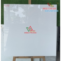 Gạch 80x80 màu trắng tinh bóng kiếng tại Bà Rịa Vũng Tàu