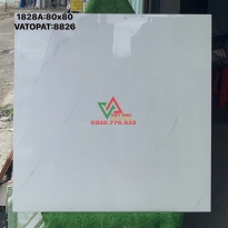 Gạch 80x80 màu trắng trơn thanh lịch giá rẻ