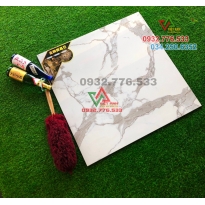 Gạch 80x80 màu trắng vân xám hàng nhập khẩu