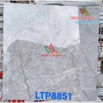 Gạch 80x80 ốp nền nhà đá bóng kiếng mã LTP8851