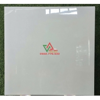 Gạch Ấn Độ 80x80 màu trắng trơn vân đá hàng nhập