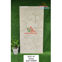 Gạch cao cấp 60x120 được ưu thích năm 2024 – 2025