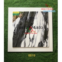 Gạch đá 80x80 màu sắc sang chảnh mã 8819