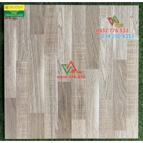 Gạch giả gỗ cao cấp hcm 612