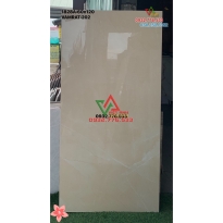 Gạch khổ lớn 60x120 trang trí không gian nhà giá ưu đãi