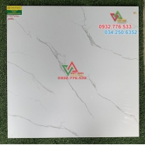 GẠCH LÁT NỀN 80X80 ĐÁ BÓNG KIẾNG TOÀN PHẦN CAO CẤP GIÁ RẺ AN HÀ PHÁT 8803