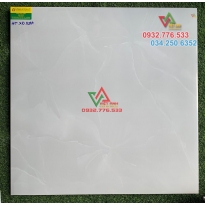 Gạch lát nền CMC 800x800mm