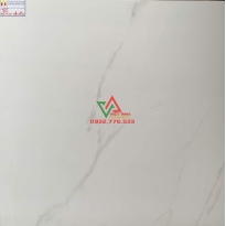 GẠCH LÁT NỀN 80X80 ĐÁ BÓNG KIẾNG TOÀN PHẦN CAO CẤP GIÁ RẺ CÁT TƯỜNG 801