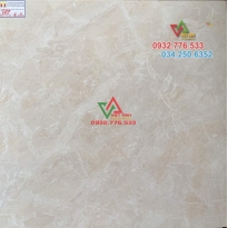 Gạch lát nền họa tiết đẹp 8805