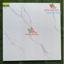 Gạch lát nền Viglacera 80x80 cm giá rẻ nhất Hồ Chí Minh