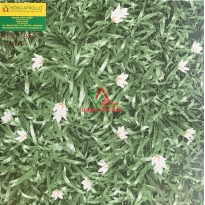 Gạch lót sân vườn, vỉa hè, hiên nhà đẹp chống thấm