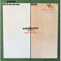 Gạch men mờ 30x60 trang trí tường nhà vệ sinh