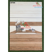 Gạch ốp tường 30x60 men bóng đẹp nhất trần đại nghĩa