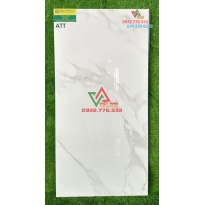 Gạch nhập khẩu chính hãng 60x120 GLOSSY SG6207 tại Thủ Đức