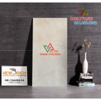 Gạch ốp lát cao cấp 60x120