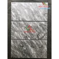 Gạch ốp tường nhà sang trọng