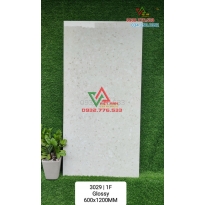Top 99 mẫu gạch lát nền 60x120 tại nhà gachrevietanh.com