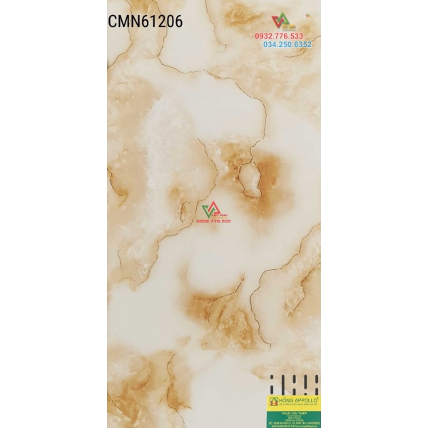 Gạch 60x120 bóng kiếng sang trọng